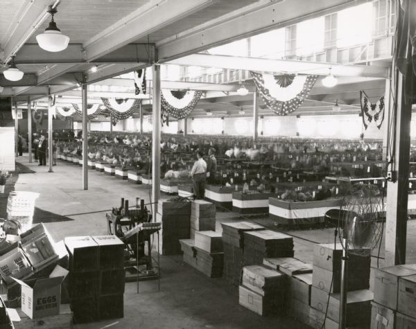 Interior view of the Poultry Building at the Wisconsin State Fair, showing the chickens entered in the competition in their cages. The patriotic decor suggests that the undated image may have been taken during World War II.