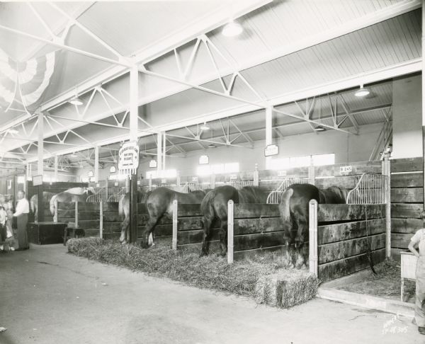 View of some of the stalls in the Horse Barn at the Wisconsin State Fairgrounds. The horses that can be seen are all pure bred Belgians from Minnesota.