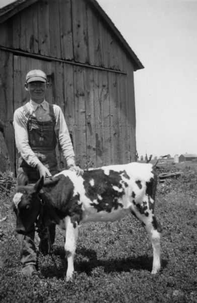 Freddy Lang of rural Dane County with the Guernsey calf he planned to enter in the Junior Fair competition at the Wisconsin State Fair.