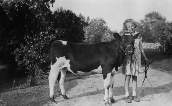 Phyllis Paulson of Stoughton with the calf she planned to enter in the Junior Fair competition at the Wisconsin State Fair. The calf's name was Elsie, perhaps in honor of Elsie, the marketing symbol of the Bordon Company.