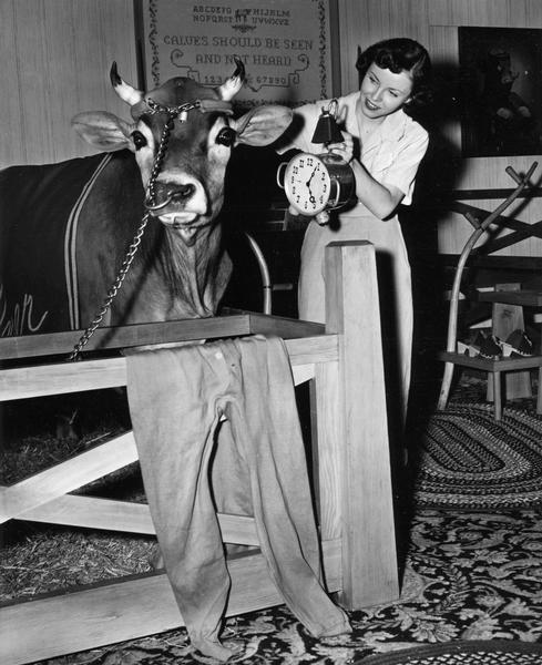 Elmer, "husband" of Elsie the Cow, advertising mascot of the Borden Company, is shown with a young woman as he was being readied for participation as one of the principal attractions at the Wisconsin State Fair, opening on August 18, 1951. The clock was intended to let Elmer know it was after 5:00 a.m. and time to get up.