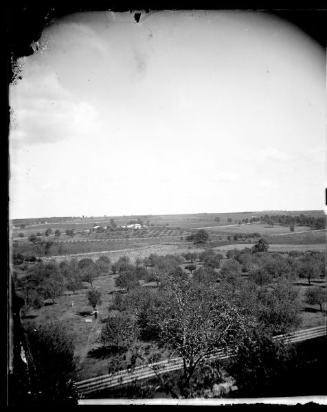 Elevated view of a split-rail fence enclosing an orchard, with farmsteads and more fences in the distance. A man wearing a hat is posing with his hands on his hips in the orchard. Sheep are grazing in a field just beyond the orchard.