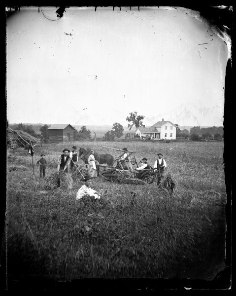 A crew of farm laborers taking a break from harvesting wheat while a young woman is offering food and drinks. They are posing in front of a reaper with the family farmstead in the background.  In the foreground, a horse and people, mostly men, are standing in a field harvesting grain near a reaper. A boy on the left is standing near what may be a vest hanging on a pole. In the background is a wooden structure, possibly for storage, an upright and wing frame house, a split-rail fence, horse-drawn vehicles and more people.