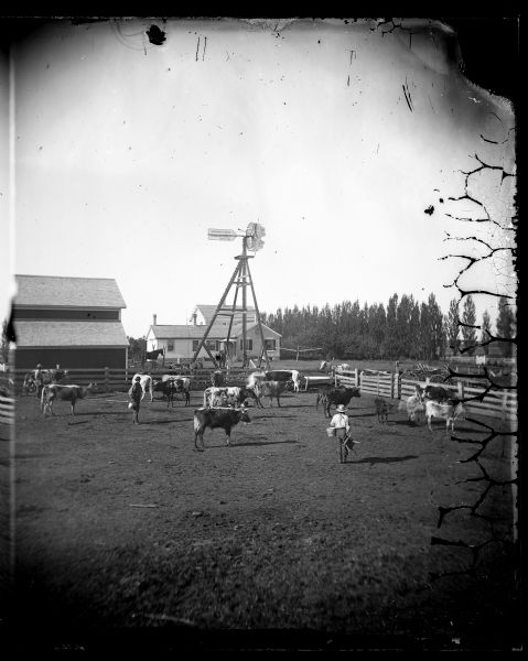 An "improved" herd of cattle standing in a fenced-in yard. The herd includes shorthorns, linebacks and, perhaps, Ayrshires. A man is standing in the yard holding a stool and bucket. Two other men are standing in the yard in the background. A house, horses, clothesline, barn, wagon and a windmill are outside of the enclosure. The windmill, perhaps adapted, is Halladay's Patent from U.S. Wind Eng. and Pump Co. of Batavia, Illinois.