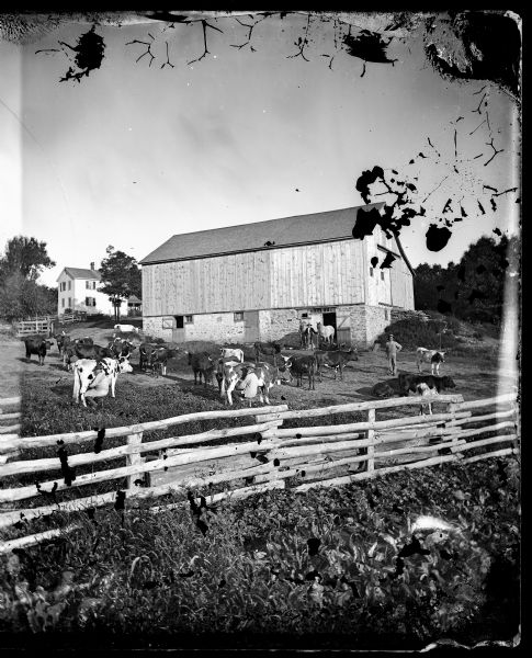 Two men are sitting on stools milking cows in a barnyard within a log fence enclosure. Milking was usually done outside during the 19th century so in this case Dahl did not need to move people outside to take the picture. One man is standing on the right, another man is standing in the background on the left, and another man is standing in front of one of the barn doors with two horses. A split-level barn with a new basement is behind the men and cattle. A farmhouse is in the background on the left.