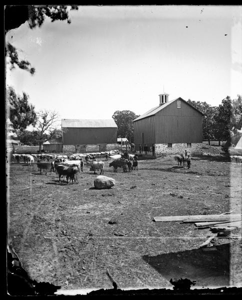 View of a barnyard with a large rock in the middle. Two men, a wagon, cattle, sheep, horses are near the barn, which has a cupola and a stone foundation. Other buildings are in the background.