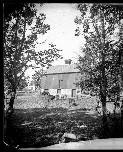 View framed by trees of a barnyard at the N. Lunde farm. Cattle and three men are standing in an enclosed yard in front of a barn with a cupola. One of the men is standing with two horses near the barn in the center. In the background to the left of the barn a man and one or two women are sitting in a horse-drawn wagon in front of a farmhouse.