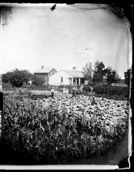 In the foreground, a family is standing and sitting in a garden with cabbages, corn and other crops.  Behind them is a one-story frame house and a hops drying shed.