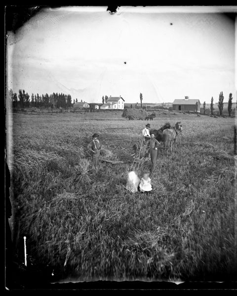 Three men with hats are standing in a field with a reaper and grain cradle. Two children (their images are blurred) are sitting in front of them. In the field behind them is a horse-drawn wagon loaded with hay. A farmstead is in the far background.