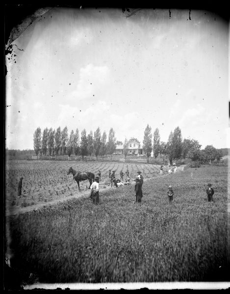 Children, men with hats, and women with parasols, are watching men work in a field with a horse-drawn plow and other agricultural equipment.  A house is in the background, surrounded by a fence and Lombardy poplars.
