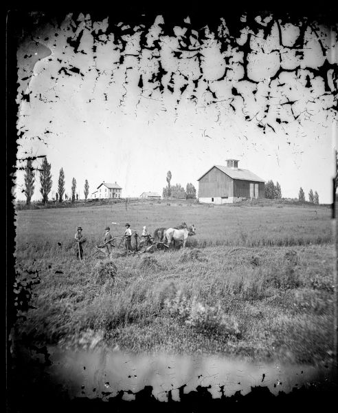 A boy and three men are in a field in the foreground with a manual rake reaper and other harvesting tools. Various farmstead buildings, a fence and Lombardy poplars are in the background.