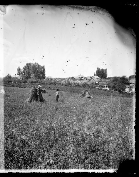 Boys in field with shocks of grain, foreground, with log buildings and farmstead in the background.