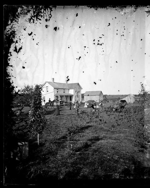 A family is posed in farmstead front yard playing croquet and looking at a farmer on a horse-drawn sulky cultivator in cornfield.
