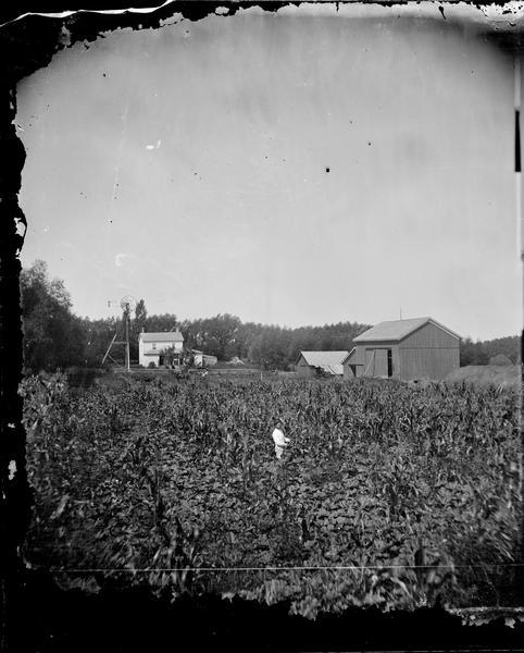 A man is standing in a field with corn and other crops, with a windmill on a wooden tower and a barn in the background. Two carriages are also visible, one of which bears the sign: "A.L. Dahl Landscape Photographer."