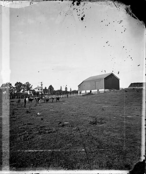 Cattle in a pasture. Behind a fence is an upright and wing frame house, a windmill and a barn with a stone foundation.
