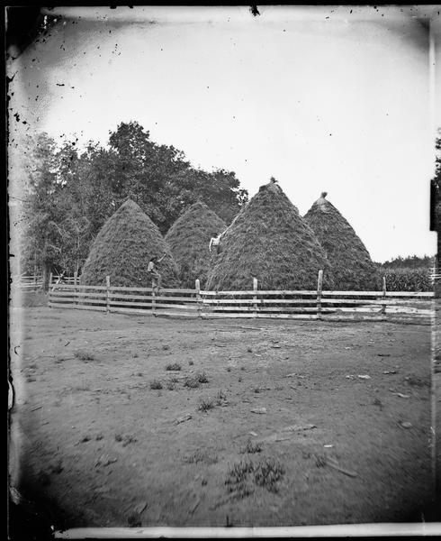 View across bare field towards two men posing with four haystacks behind a fence. One man is seated on a fence post and the other stands on a ladder against the haystack.