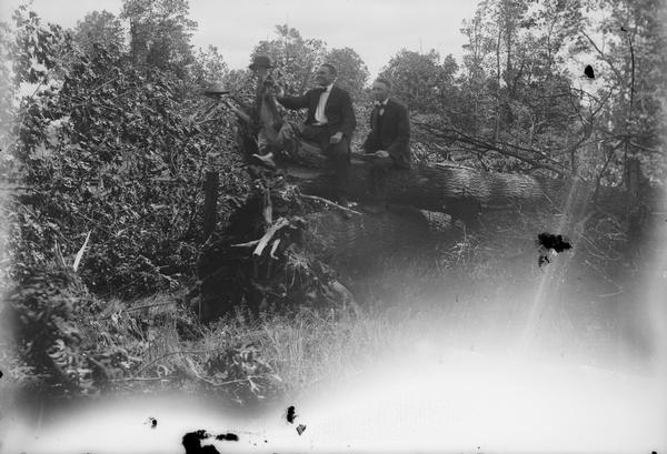 Two men with hats posed on branches of tree cutting.