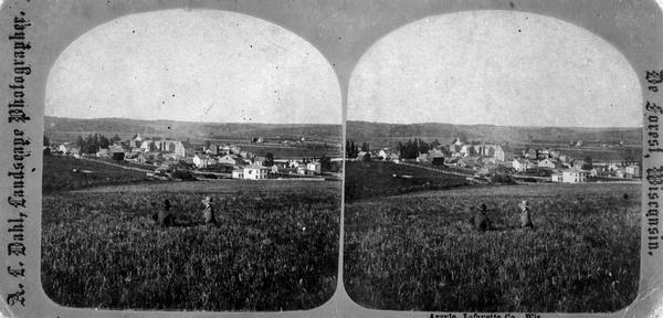 Probably one of the "Three different views of the village of Argyle, Wis." mentioned in Dahl's 1877 "Catalogue of Stereoscopic Views." Two men sit in a hay field observing the town of Argyle in the distance.