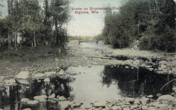 Postcard with text, "Scene on Bruemmer's Pond, Algoma, Wis.".