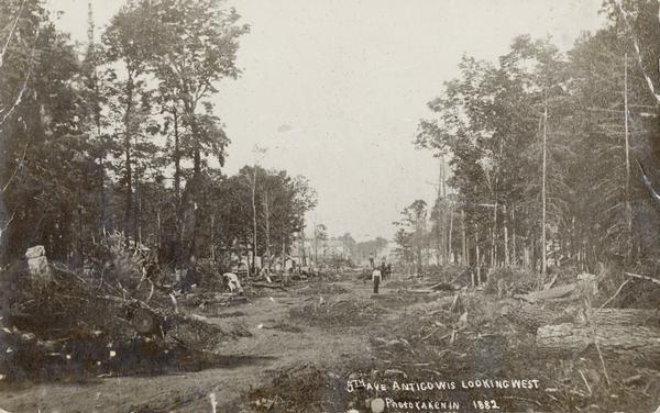 Caption reads: "5th Ave Antigo Wis Looking West Photo taken in 1882". View down road with felled trees lining both sides. Two men are posing further down the road, with one man standing on a horse-drawn vehicle. Buildings are along the road behind the men.
