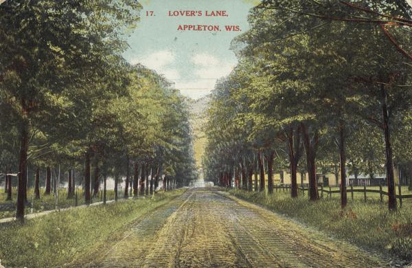 View down Lover's Lane. Caption reads: "Lover's Lane, Appleton, Wis."
