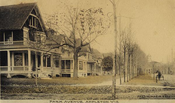 View of Park Avenue. A street in a neighborhood with dwellings, sidewalks and trees, a horse and buggy waits at the curb. Caption reads: "Park Avenue, Appleton, Wis."