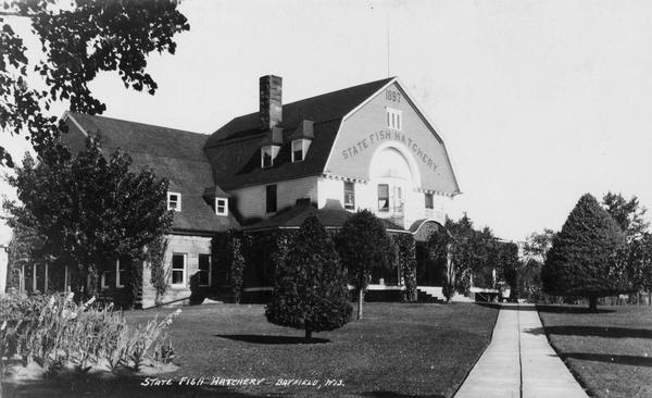 View of the State Fish Hatchery, surrounded by a lawn planted with trees. A wide sidewalk leads up to the entrance. The sign on the front of the building reads: "1897 State Fish Hatchery."