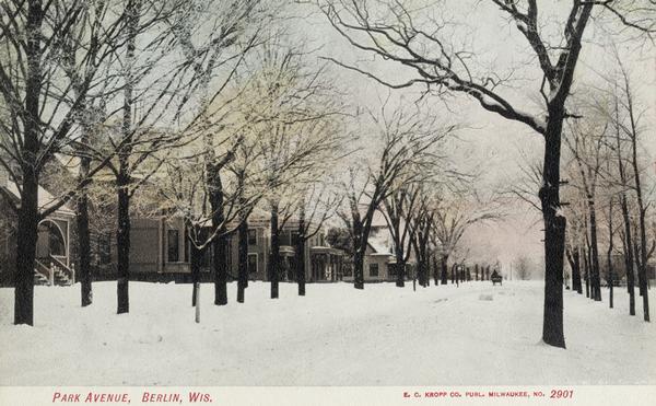 View down right side of a snow-covered street lined with trees toward the left side lined with houses. Caption reads: "Park Avenue, Berlin, Wis."