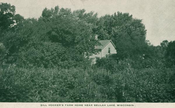 View of William Hooker's farm home, partially obscured by trees, near Beulah Lake.