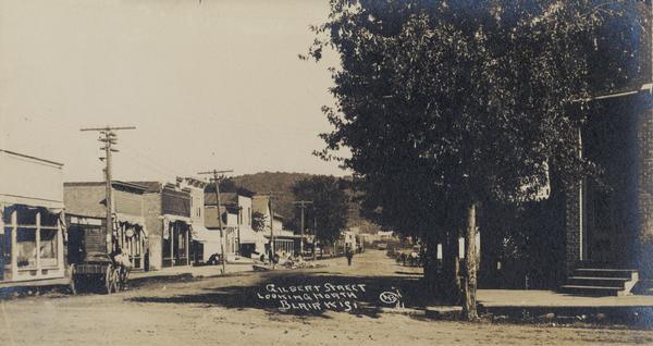 View down Gilbert Street, looking north. Caption reads: "Gilbert Street Looking North Blair Wis."