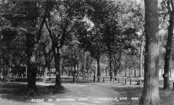 Park with tree-lined lane. Caption reads: "Scene in Riverside Park".