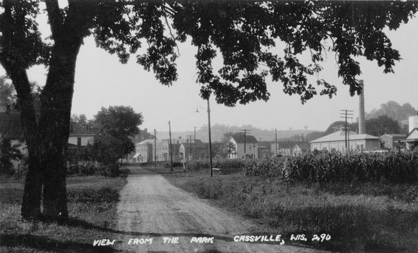 Caption reads: "View from the park". View down dirt road, with a large deciduous tree on the left side of the road, and a cornfield on the right. In the distance are buildings, telephone poles and a smokestack.