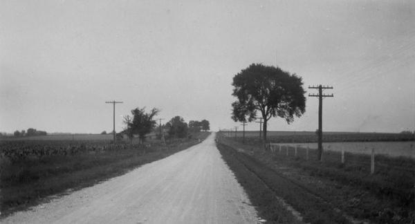 Natesta cabin site in Clinton. View down road, with a fence on the right, and fields on both sides.