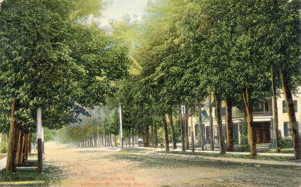 View towards the right side of Ludington Street. Caption reads: "Columbus, Wis. Ludington St., looking South."