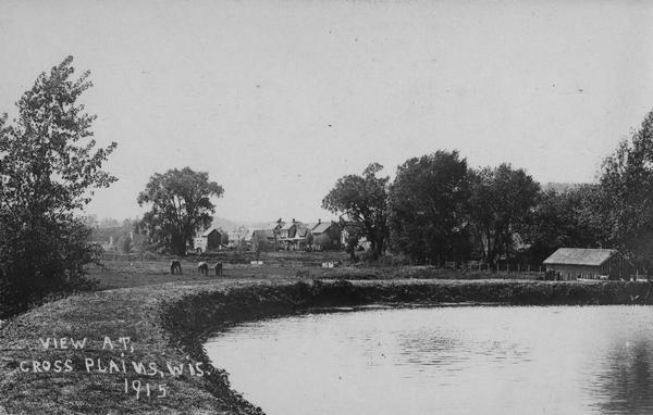 Millpond with several buildings and horses in the middle ground, and more buildings in the background. Trees are visible throughout. Text at lower left reads: "View at Cross Plains, Wis. 1915."