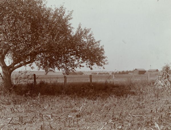 View of a Mormon temple site. In the foreground is a tree along a fence. Farm buildings are in the background beyond a field.
