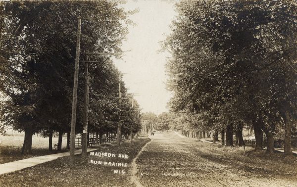 View down unpaved Madison Avenue, lined with trees on either side. Caption reads: "Madison Ave., Sun Prairie Wis".