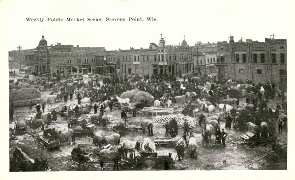 Elevated view of Market Square, crowded with animals and people. Caption reads: "Weekly Public Market Scene, Stevens Point, Wis."