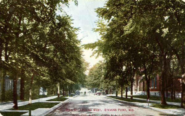 View down center of tree-lined street. Caption reads: "Main Street, Looking West, Stevens Point, Wis."
