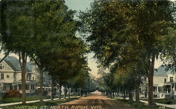 Street lined on both sides with homes and trees. Caption reads: "Watson St. North, Ripon, Wis."