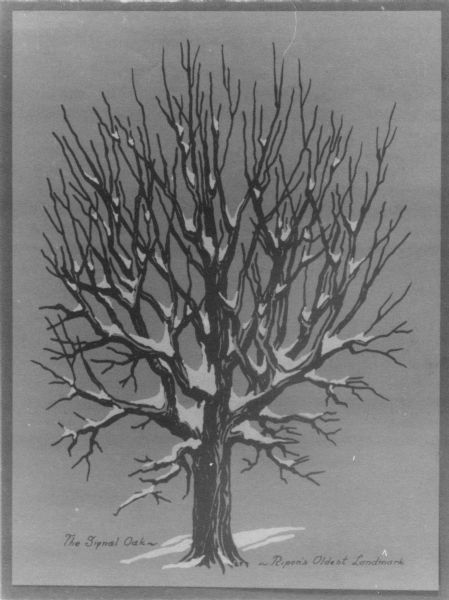 View of the Signal Oak taken from the original, which was the first in a series of Heritage Prints. The idea for the series was conceived by the First National Bank of Ripon and the 9 x 12" prints were "hand printed by the silk screen process at the Ripon Community Art Center, 1956."