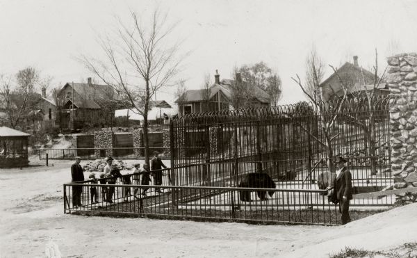 A group of spectators viewing caged bears at the zoo.