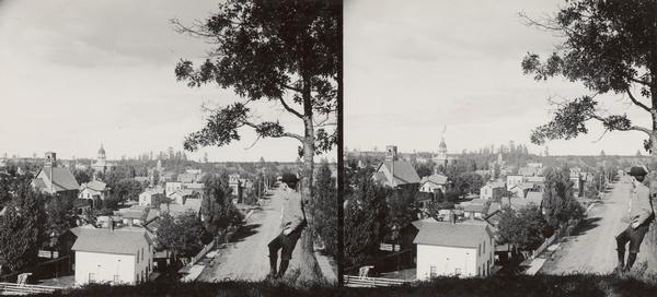 Elevated view from hill of Grand Avenue. A young boy is posing against a large tree in the right foreground looking out over the town.