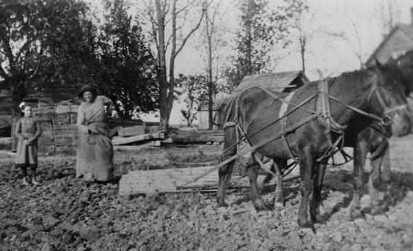 A young girl and a woman working a field with horses. Trees and buildings are in the background.