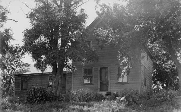 Eleazer WIlliam's log cabin. A view of the side entrance surrounded by plants and trees.