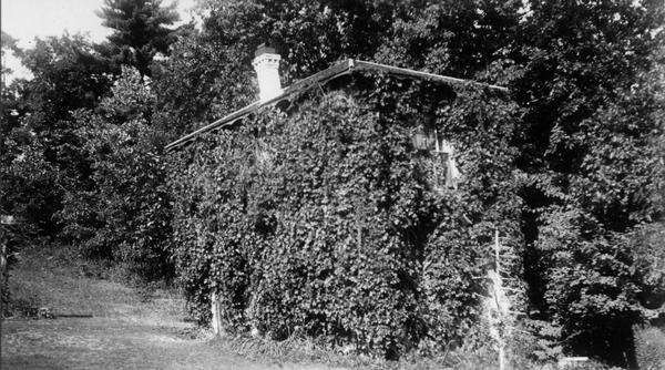 Small building completely covered in ivy, with a chimney projecting at the top left side of the roof.