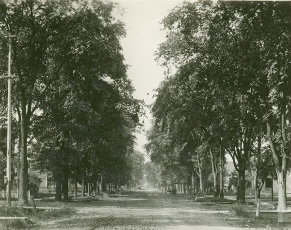 Jefferson Street south from Doty Street with trees lining the street.