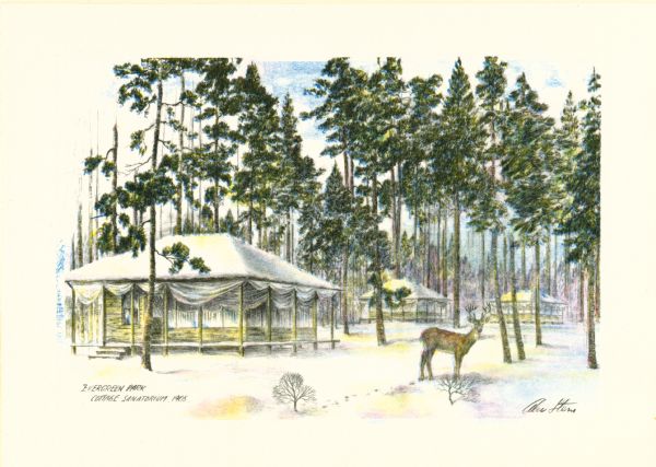 The Evergreen Park Cottage Sanatorium, where in 1903 Dr. W.B. Hopkins opened the first tuberculosis sanatorium in Wisconsin. Financial problems caused the sanatorium to be abandoned in 1905. From a holiday greeting card which benefited the Charitable, Educational and Scientific Foundation of the State Medical Society of Wisconsin.