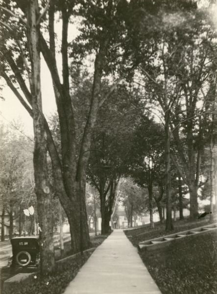 Part of the Milton College campus. View down sidewalk with a street on the left, and a lawn and trees on the right.