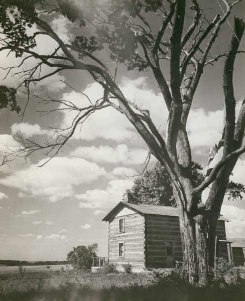 Exterior of the Mordecai Kelly log cabin, built by Mordecai himself in the late 1840's. The article attached to the photograph reads: "The aging tree stands like a sentinel, with limbs stretched out as though to protect the old house of hand-hewn logs. Note the axe-work at the corners of the house where the logs were notched. The house and tree stand five miles west of Monroe, Wisconsin, on Highway 11. The name on the mailbox is George R. Ellefson, but there was no one home when Photographer Bob Boyd stopped by. But now the occupants will know that someone else besides themselves thinks their home is beautiful."